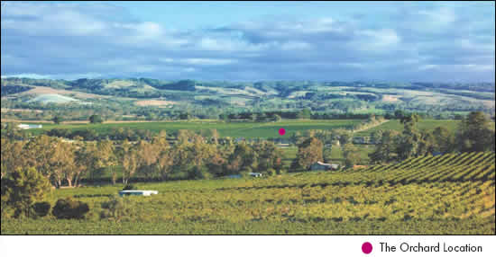 the orchard location