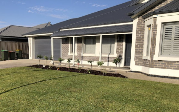 Donna Skeffington 32r2024 12 15ew